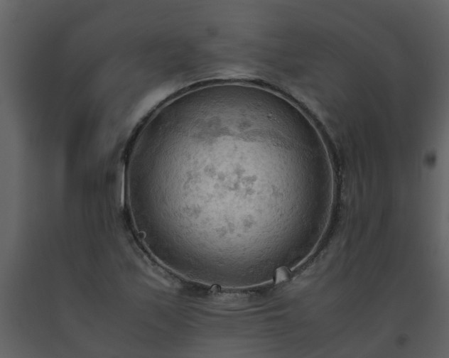 X0000093591171200710221517