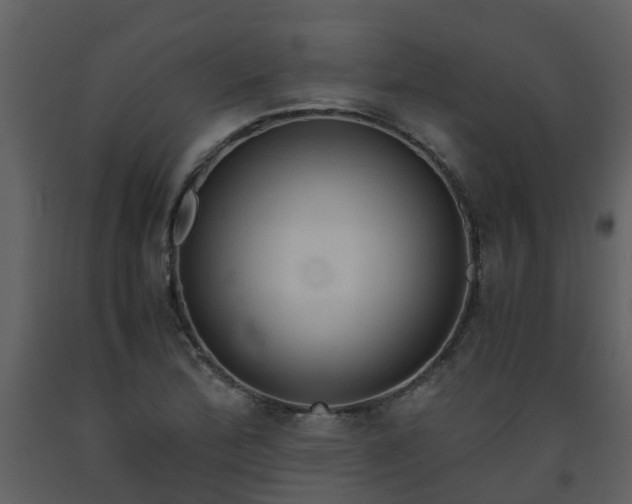 X0000093591172200710221517
