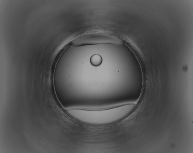 X0000093591173200710221517