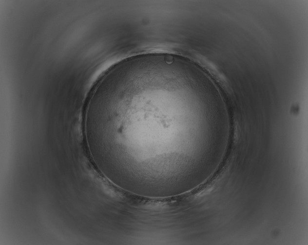 X0000093591174200710221517