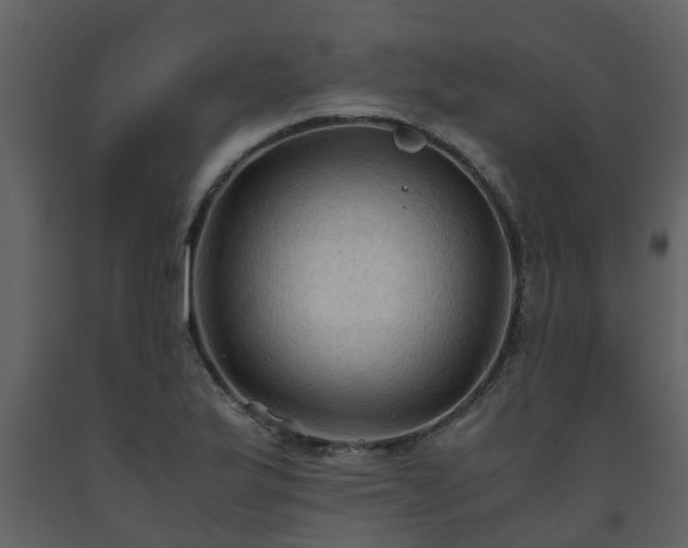 X0000093591175200710221517