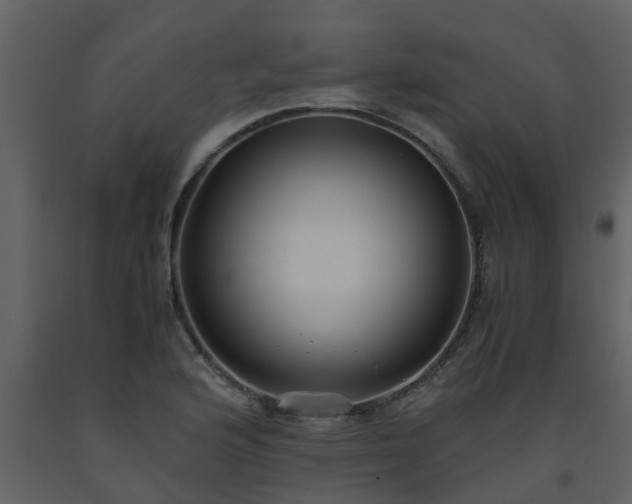 X0000093591176200710221517