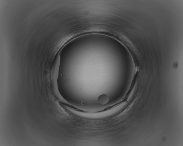X0000093591177200710221517