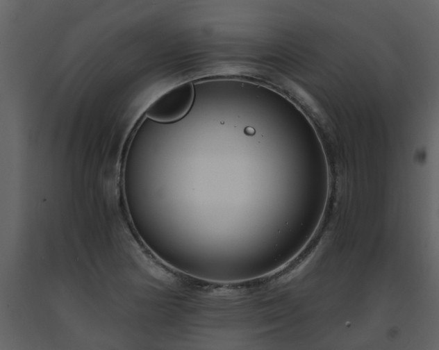 X0000093591178200710221517