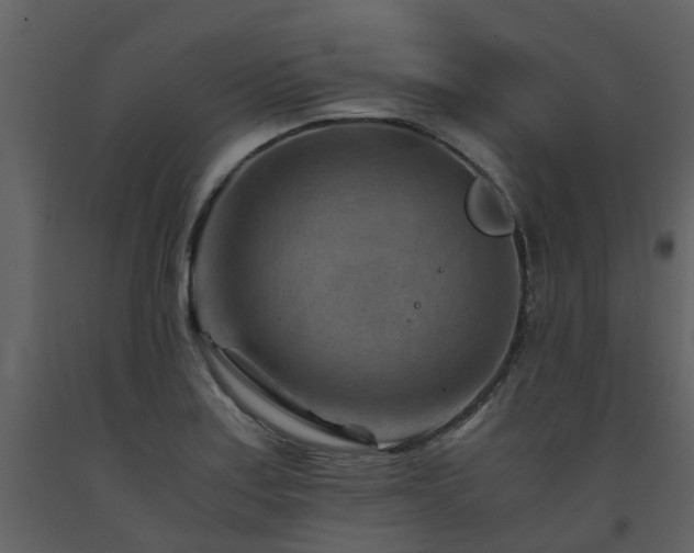 X0000093591179200710221517