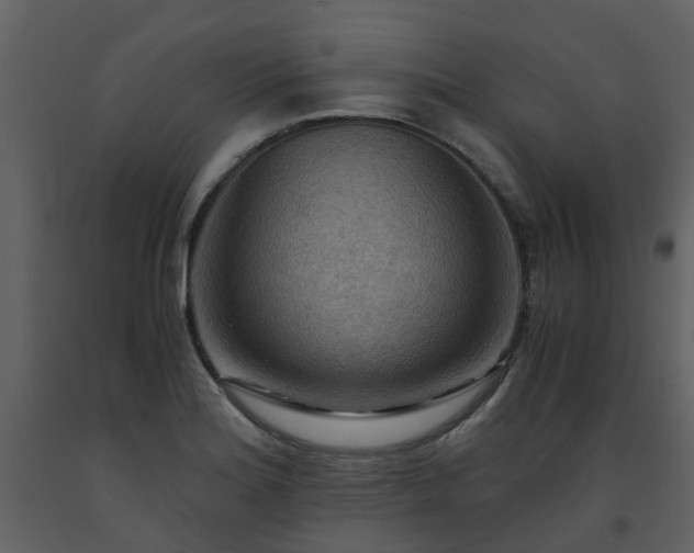 X0000093591180200710221517