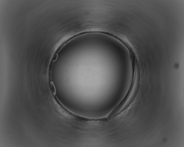 X0000093591181200710221517