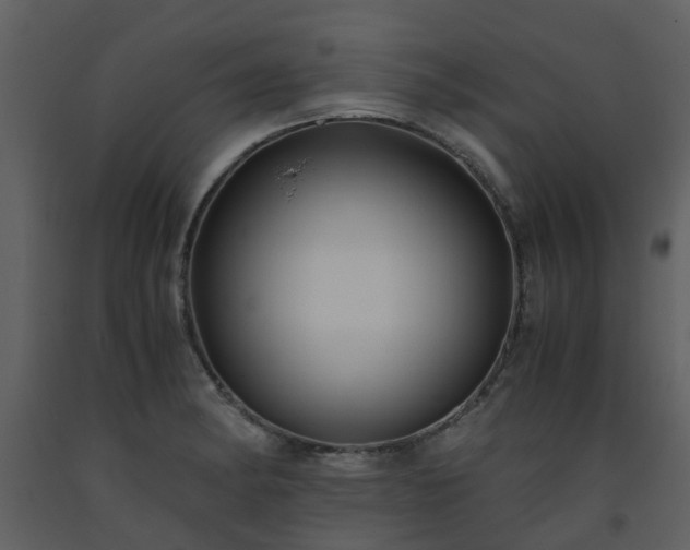 X0000093591182200710221517