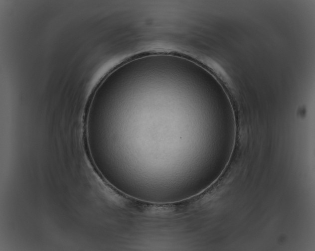 X0000093591183200710221517