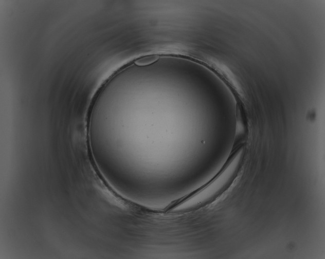 X0000093591184200710221517