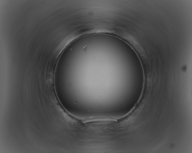 X0000093591185200710221517