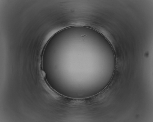X0000093591187200710221517