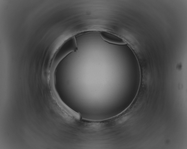 X0000093591188200710221517