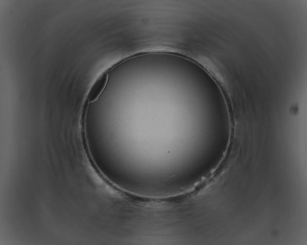X0000093591189200710221517