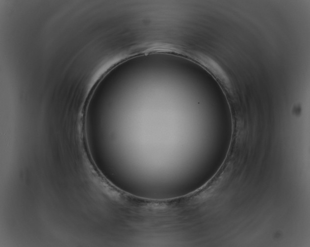 X0000093591190200710221517