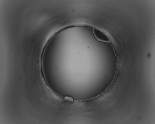 X0000093591191200710221517