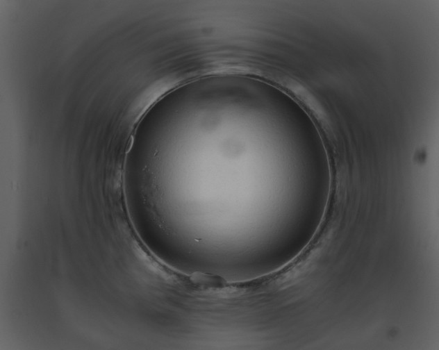 X0000093591193200710221517
