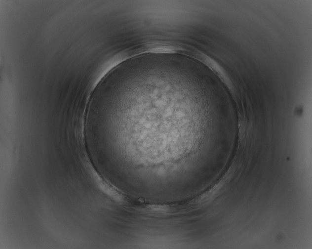 X0000093591194200710221517