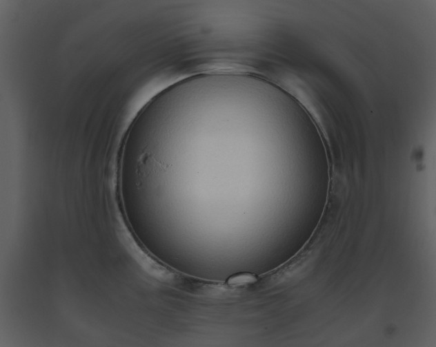X0000093591195200710221517