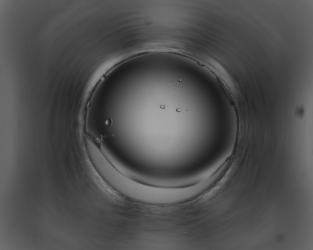 X0000093591196200710221517