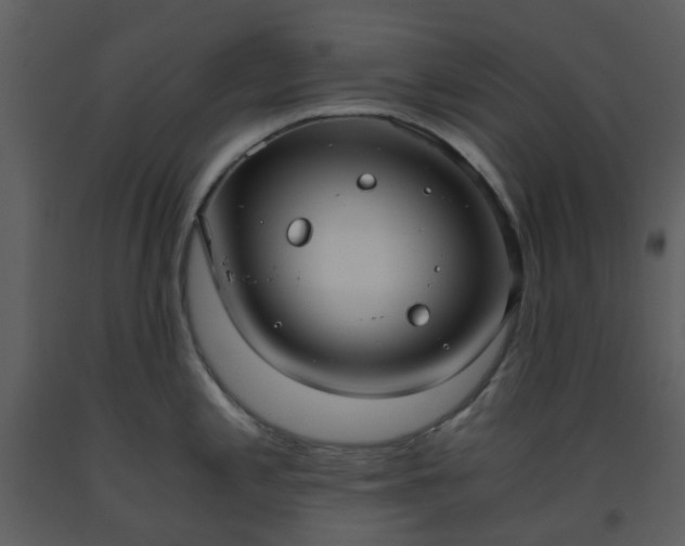 X0000093591197200710221517