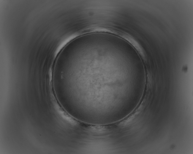 X0000093591198200710221517