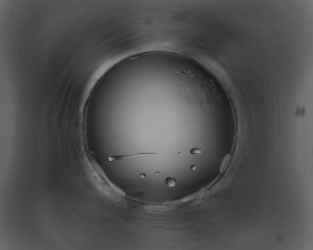 X0000093591200200710221517