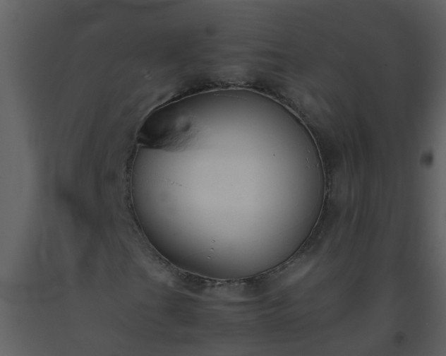 X0000093591201200710221516