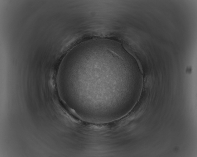 X0000093591202200710221516