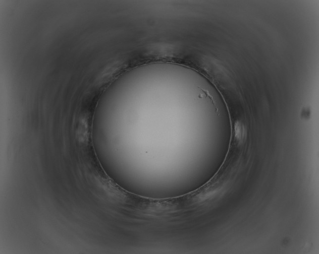 X0000093591203200710221516