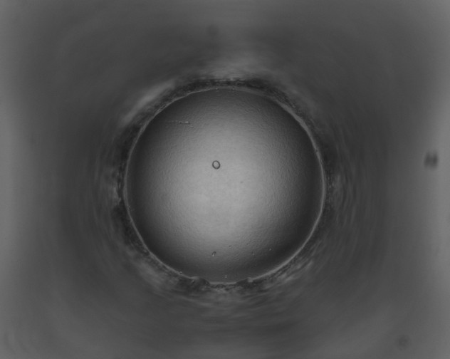 X0000093591205200710221516