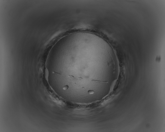 X0000093591206200710221516
