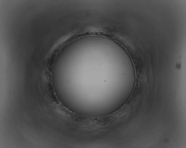 X0000093591207200710221516