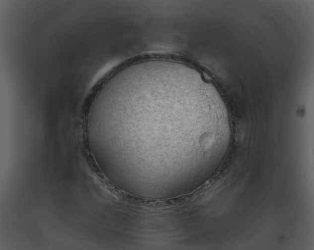 X0000093591208200710221516