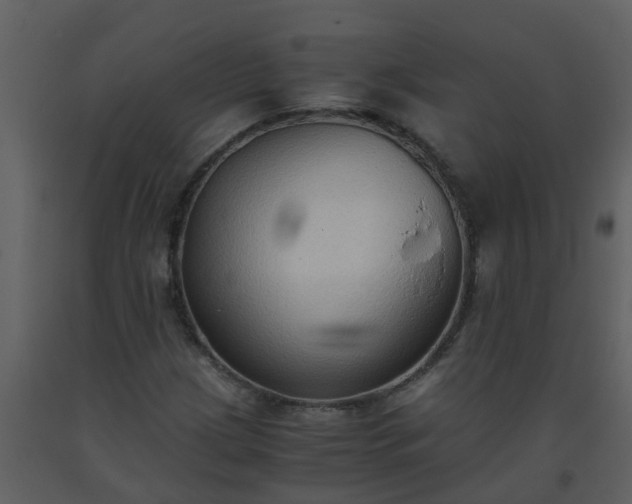 X0000093591209200710221516