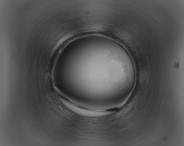 X0000093591210200710221516