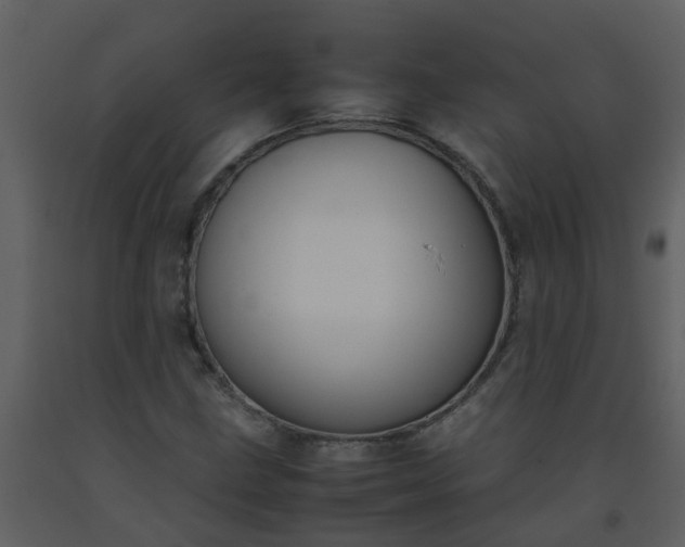 X0000093591211200710221516