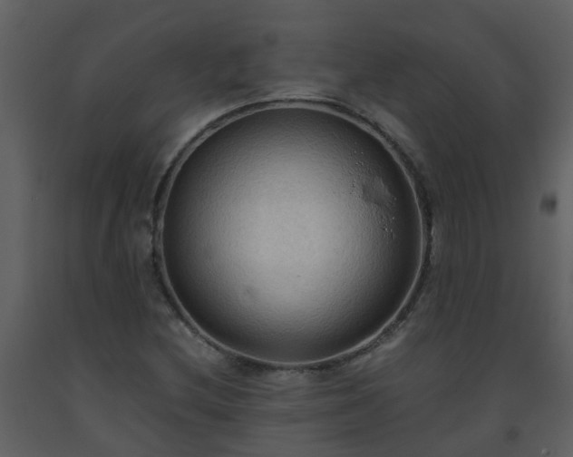 X0000093591212200710221516