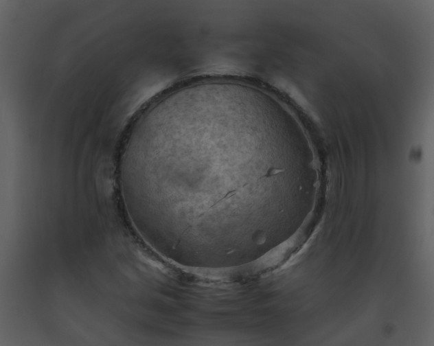X0000093591213200710221516