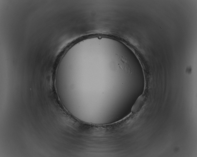 X0000093591214200710221516