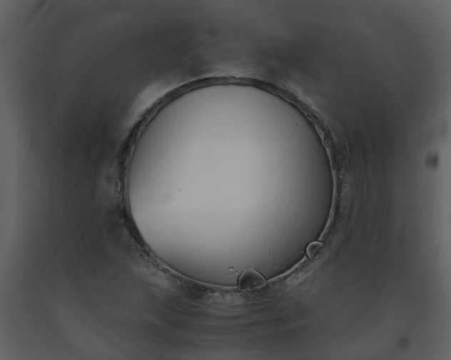 X0000093591215200710221516