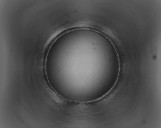 X0000093591216200710221516