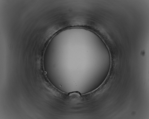 X0000093591217200710221516