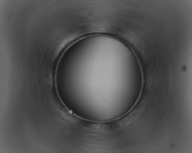 X0000093591218200710221516