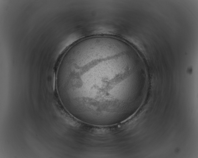 X0000093591219200710221516