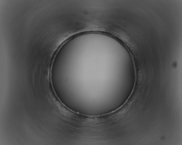 X0000093591220200710221516