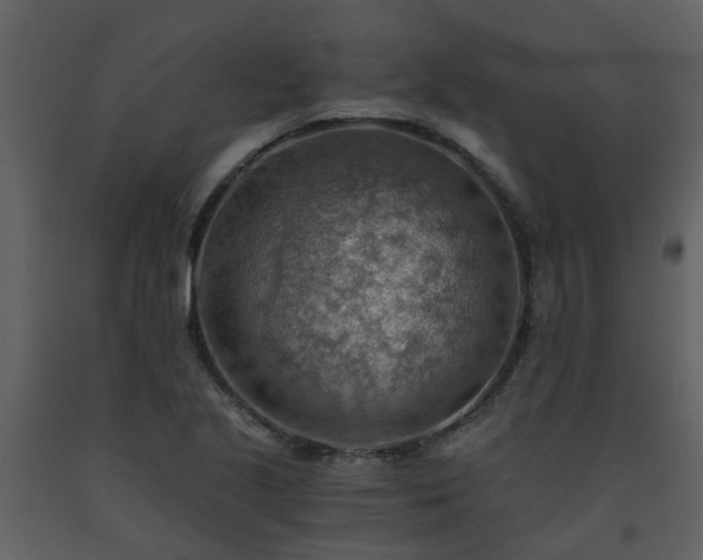 X0000093591221200710221516