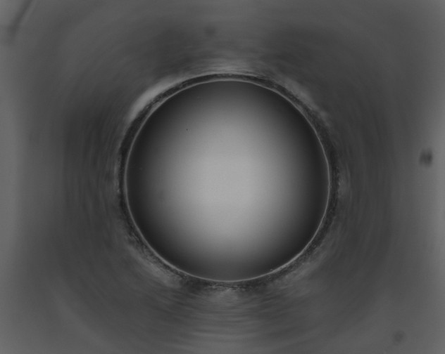 X0000093591222200710221516
