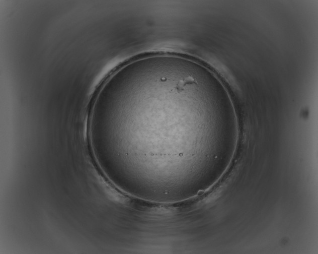 X0000093591224200710221516