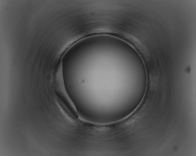 X0000093591225200710221516
